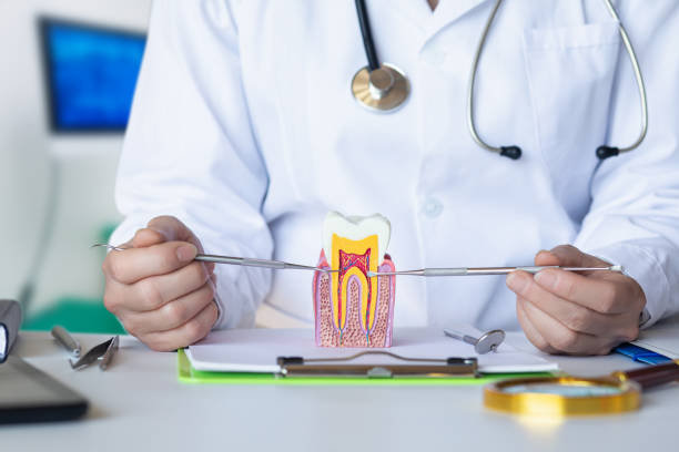Best Emergency Tooth Extraction in Dekal, IL